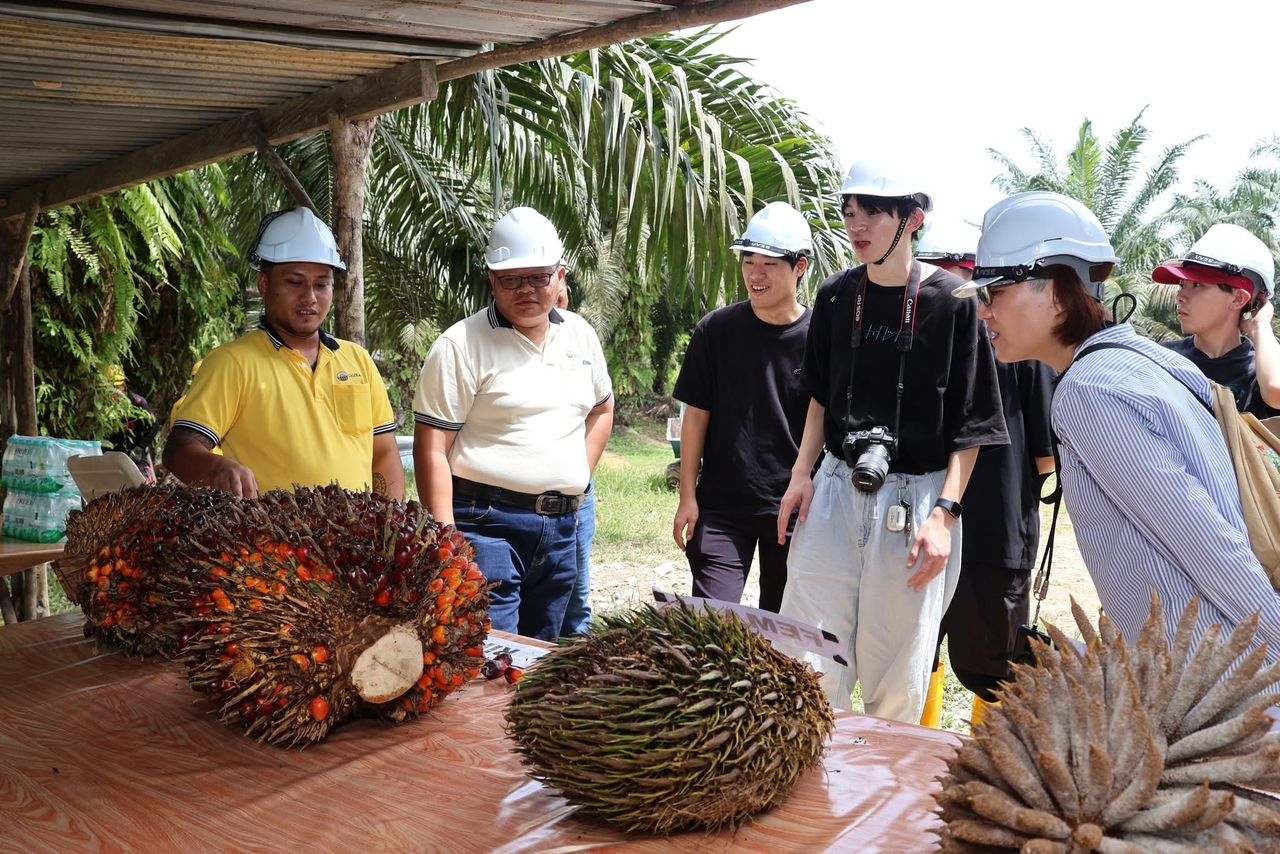  (copy) (copy) (copy)